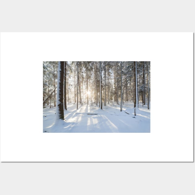 Sunshine in winter forest evening Wall Art by Juhku